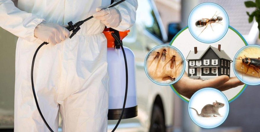 Çavdır Böcek İlaçlama