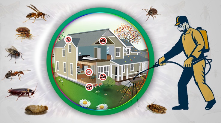 Çavdır Böcek İlaçlama