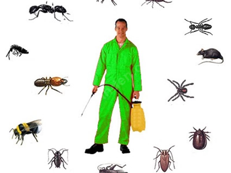 Çavdır Böcek İlaçlama